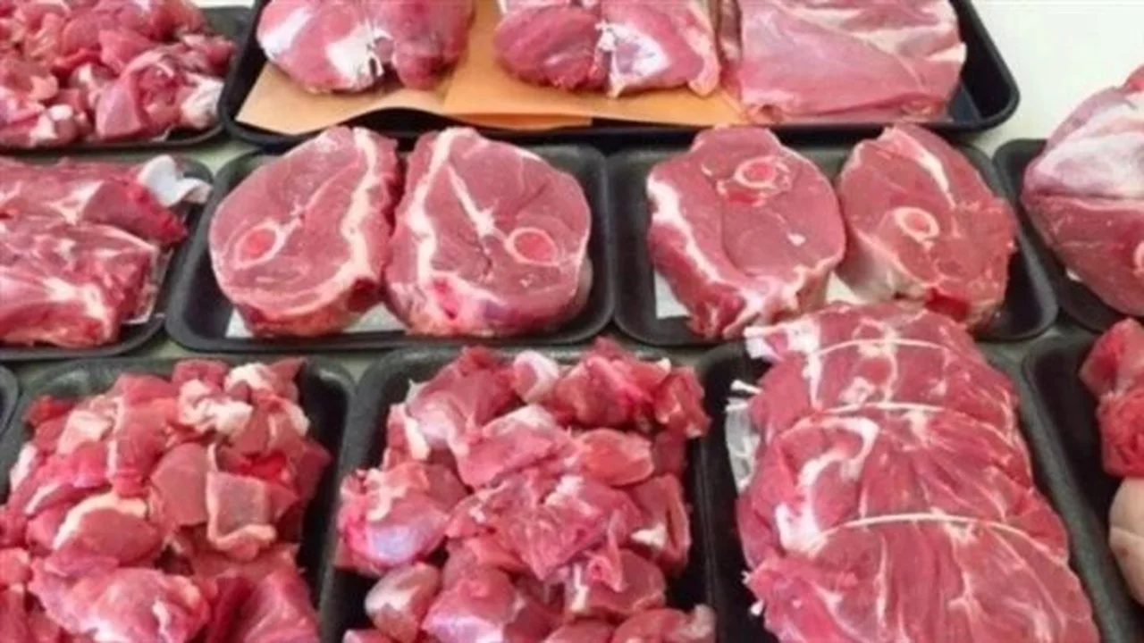 استقرار الأسعار.. مقارنة بين الكندوز والضأن في الأسواق المصرية اليوم